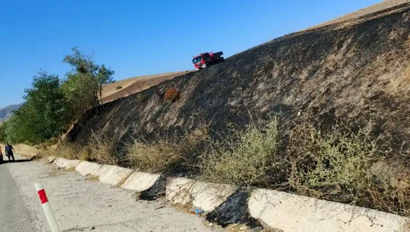 Elazığ'ın Yeşil Alanında Yangın Paniği: Otluk Alanı Kontrol Altına Alındı