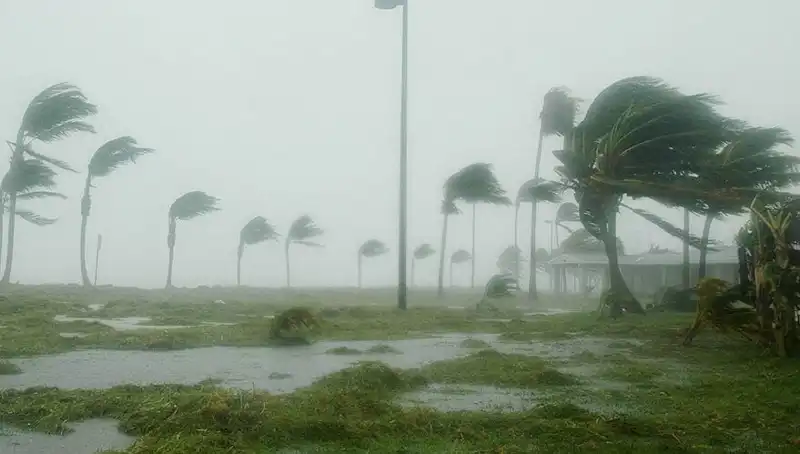 Çin'in Başkenti Pekin'de Şiddetli Rüzgarlar Hayatı Olumsuz Etkiledi