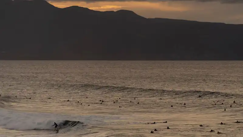 Büyük Depremin Ardında: Egzotik Yaratıkların Gizemi Ortaya Çıktı