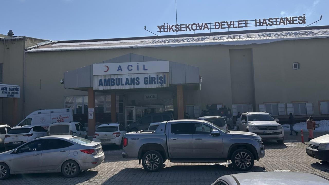 Başıboş köpeklerin saldırısı sonucu çocuğun ölümüyle ilgili müfettiş görevlendirildi