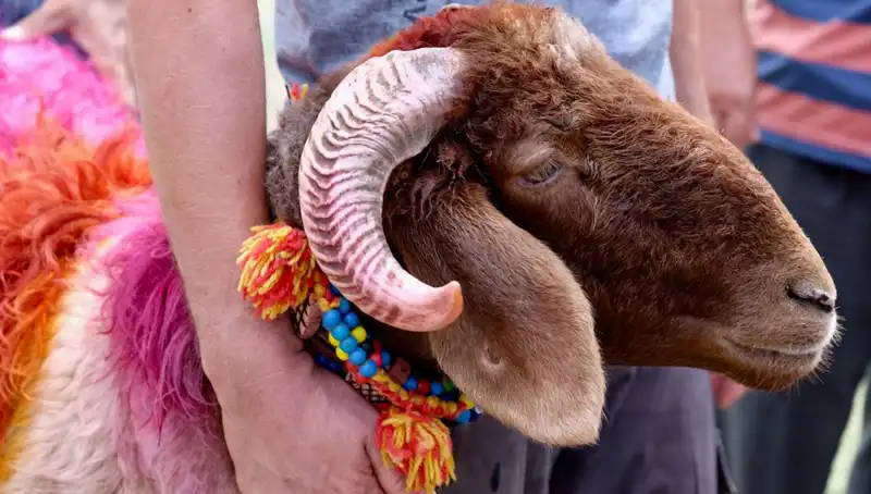 Kurban Bayramı'na Kaç Gün Kaldı? Tarih ve Detaylar!