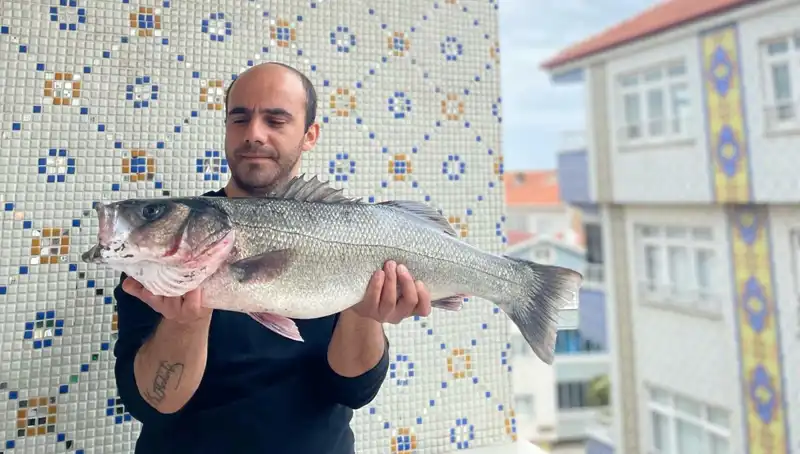 7,5 Kiloluk Dev Levrek, Balıkçıların Yeni Gözdesi Oldu!