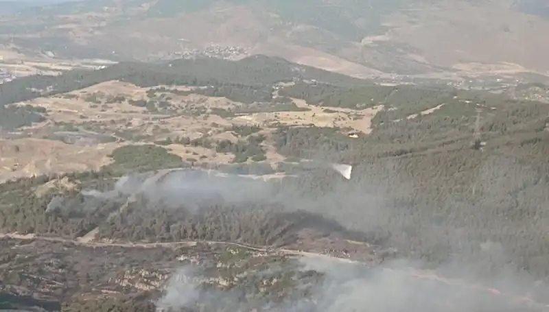 İzmir'deki Orman Yangını Kontrol Altına Alındı: Yaralar Sarılıyor