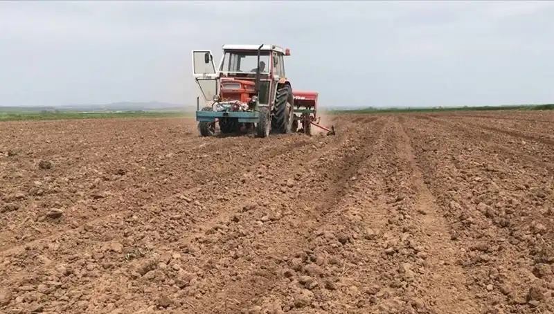 Son 35 Yılın En Kurak Mart Ayı: Yağış Miktarında Şok Düşüş!