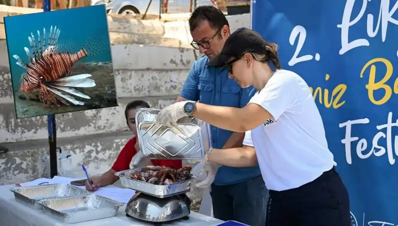 Antalya'da İstilacı Aslan Balığı Avlama Yarışması: Ekosistemi Koruma Mücadelesi